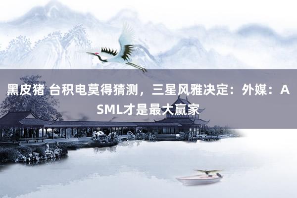黑皮猪 台积电莫得猜测，三星风雅决定：外媒：ASML才是最大赢家