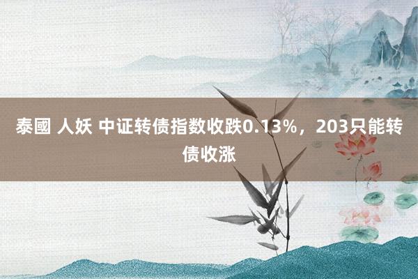 泰國 人妖 中证转债指数收跌0.13%，203只能转债收涨