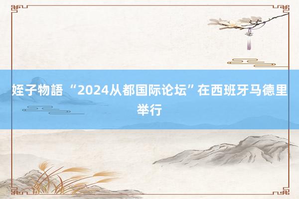 姪子物語 “2024从都国际论坛”在西班牙马德里举行