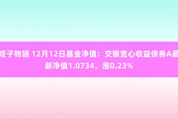 姪子物語 12月12日基金净值：交银宽心收益债券A最新净值1.0734，涨0.23%