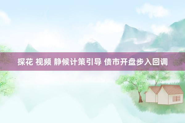 探花 视频 静候计策引导 债市开盘步入回调
