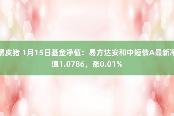 黑皮猪 1月15日基金净值：易方达安和中短债A最新净值1.0786，涨0.01%