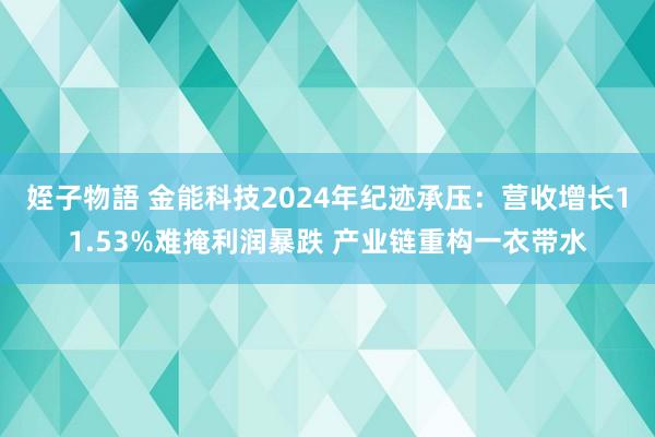 姪子物語 金能科技2024年纪迹承压：营收增长11.53%难掩利润暴跌 产业链重构一衣带水
