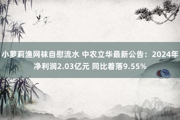 小萝莉渔网袜自慰流水 中农立华最新公告：2024年净利润2.03亿元 同比着落9.55%