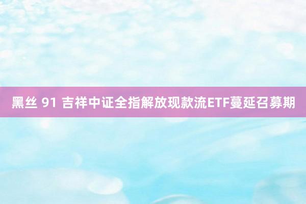 黑丝 91 吉祥中证全指解放现款流ETF蔓延召募期